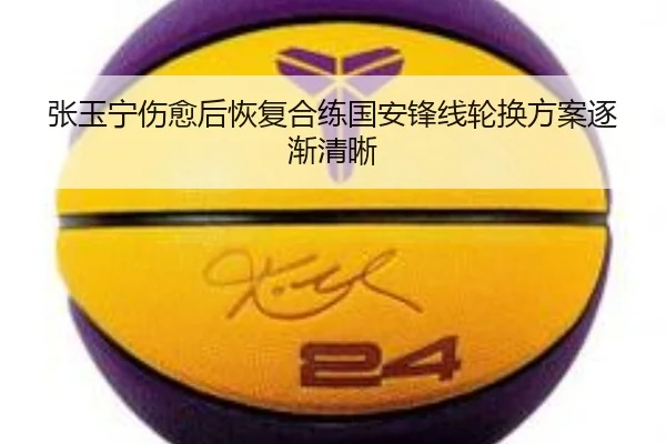 张玉宁伤愈后恢复合练国安锋线轮换方案逐渐清晰