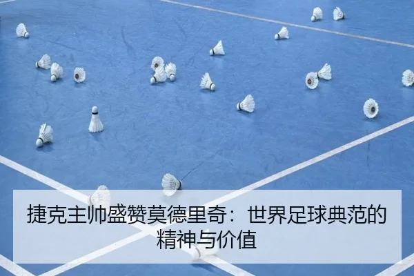 捷克主帅盛赞莫德里奇：世界足球典范的精神与价值